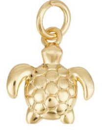 Sea Turtle Charm