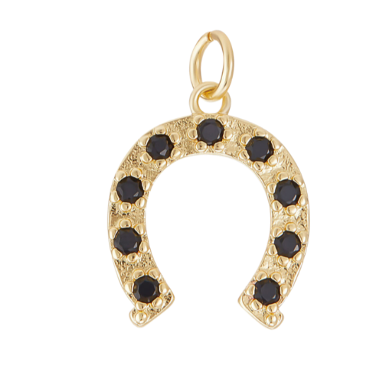 Horseshoe Charm