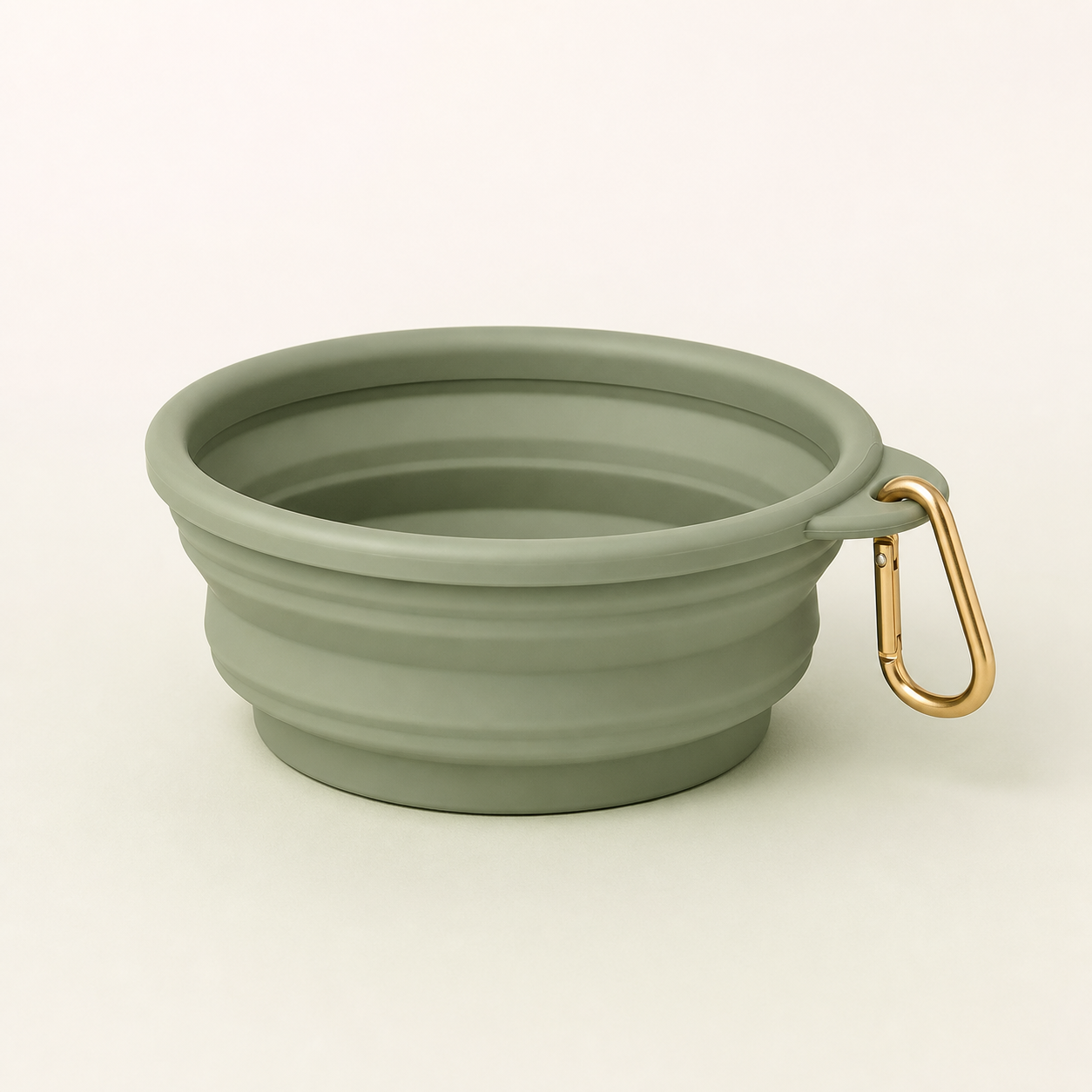 Collapsible Travel Bowl