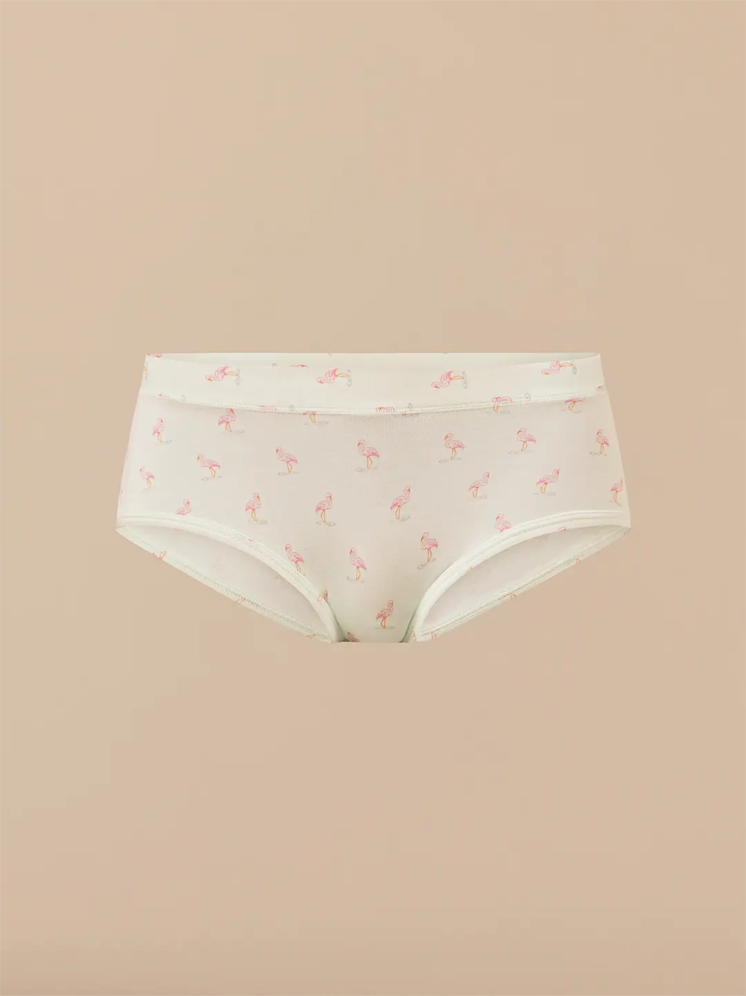 Blue Flamingos Hipster