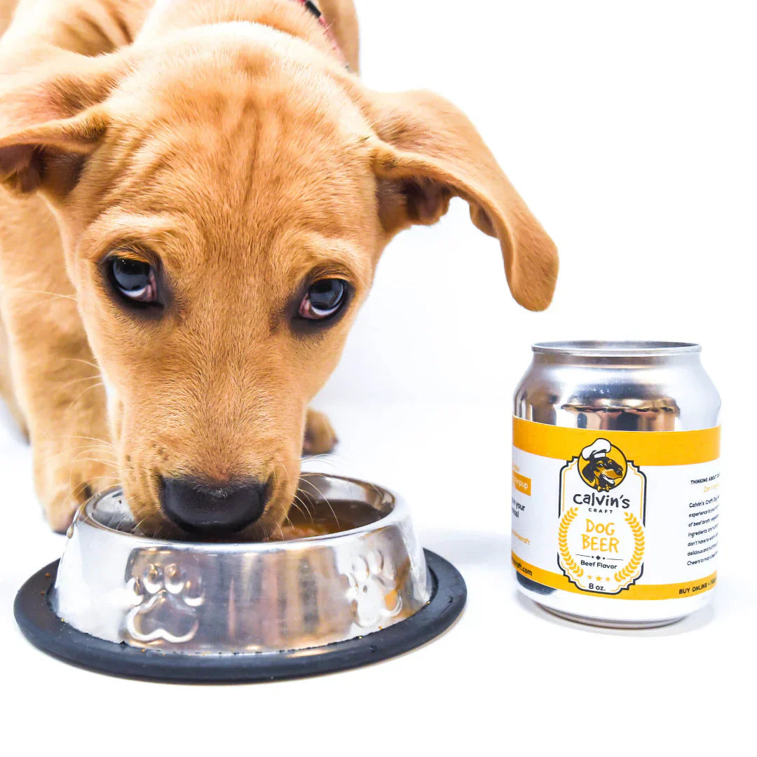 Doggy Beer