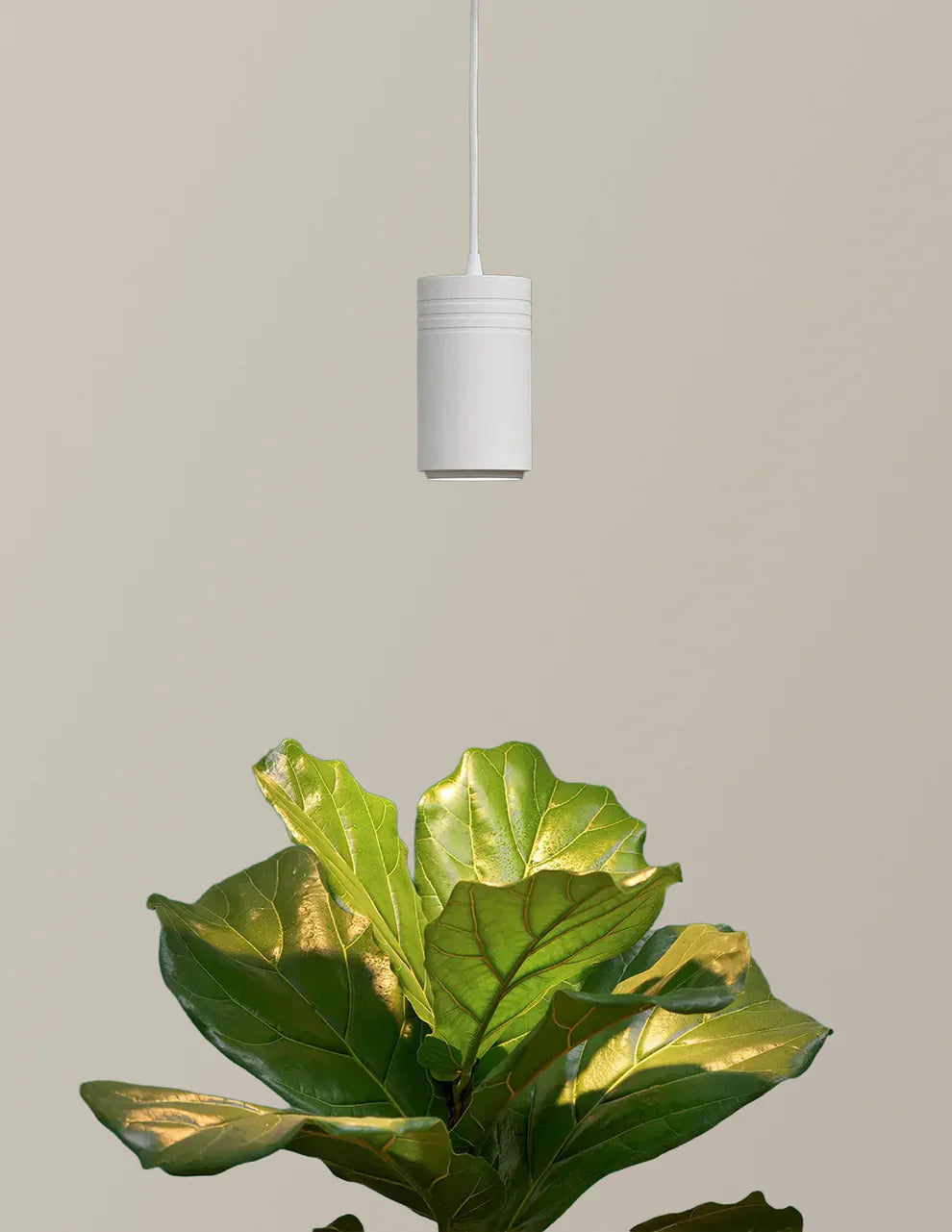 LED Grow Light