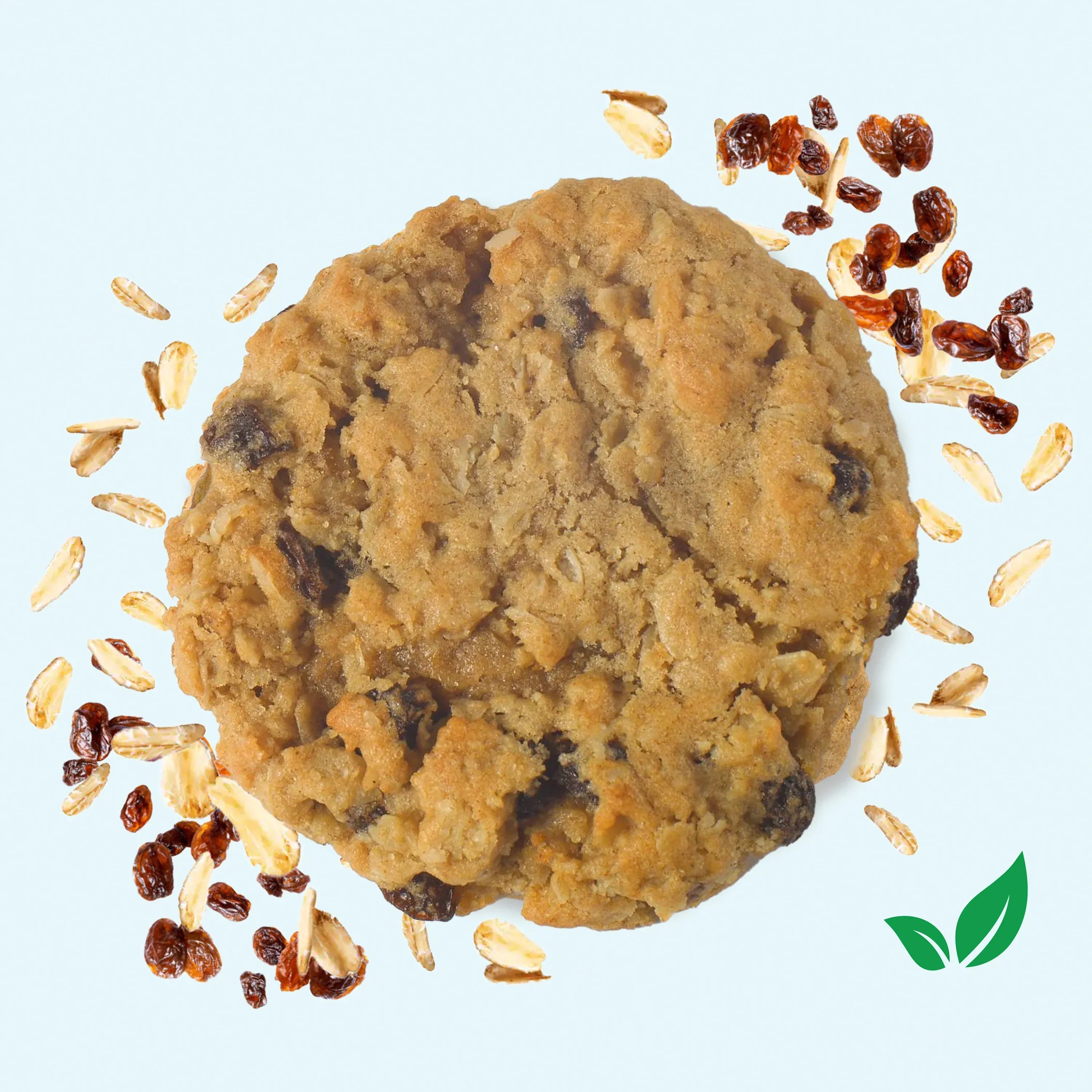 Vegan Oatmeal Raisin Cookies