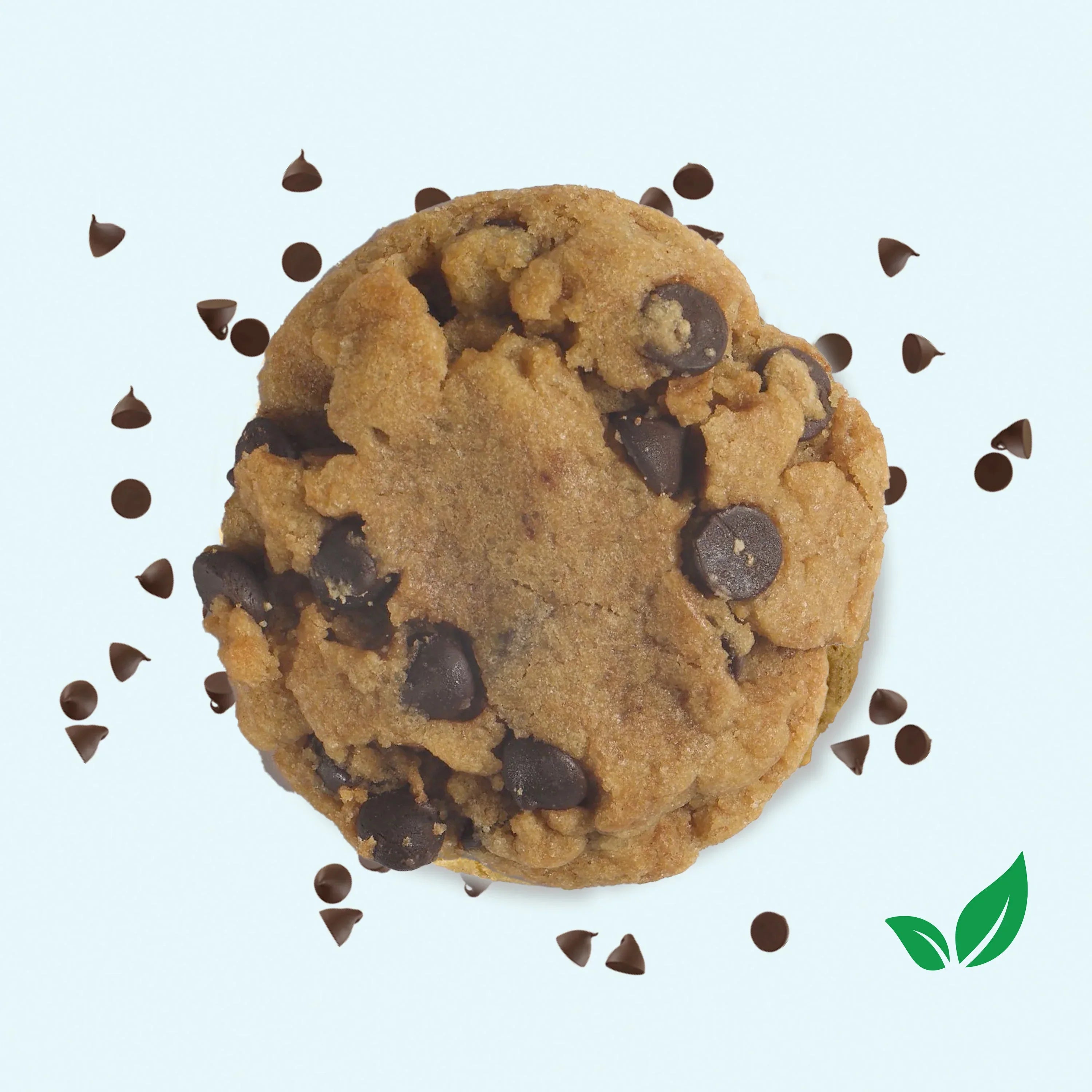 Vegan Double Trouble PB Choco Chip Cookies