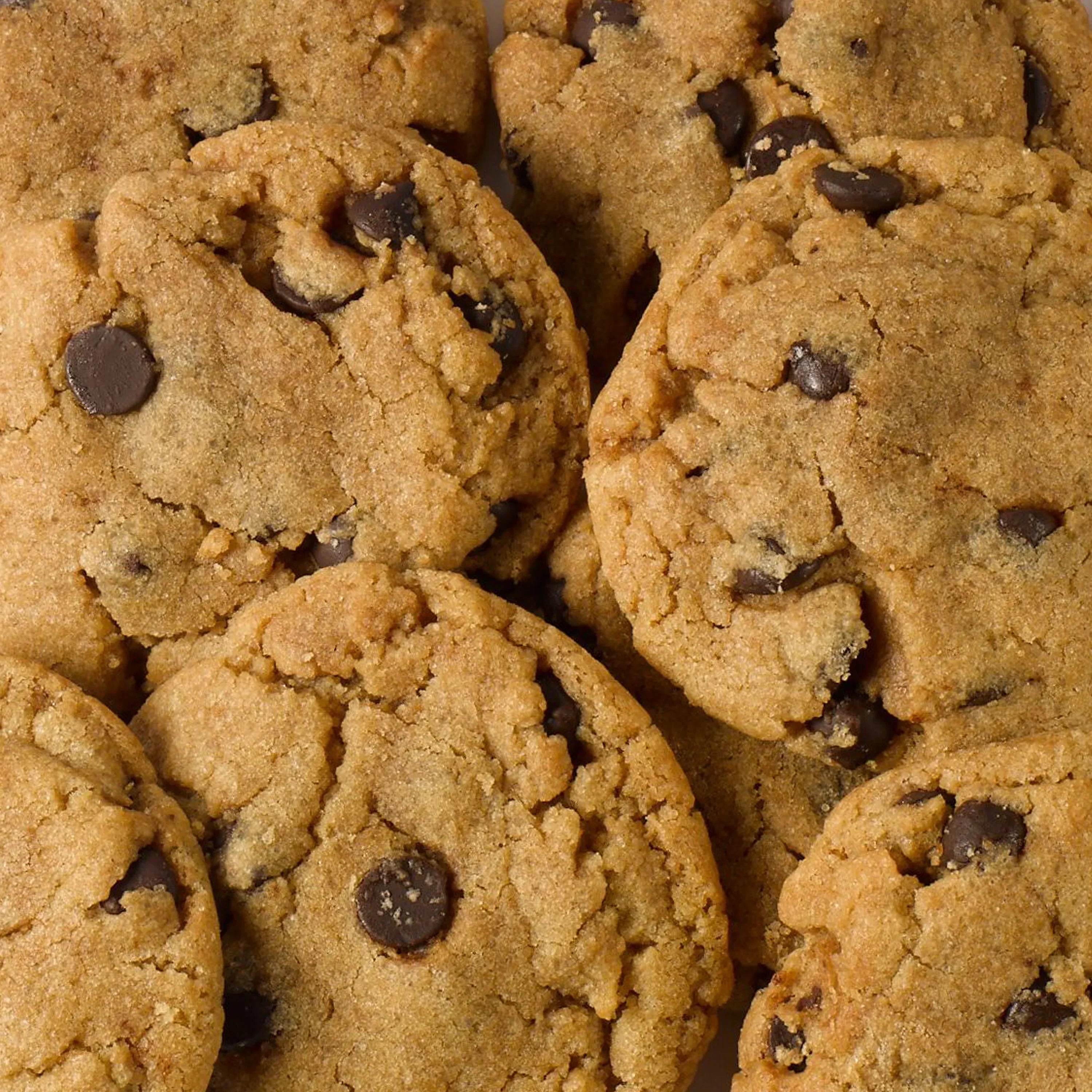 Vegan Double Trouble PB Choco Chip Cookies