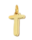 gold filled- T