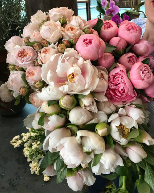 huge bunch of pastel peonies