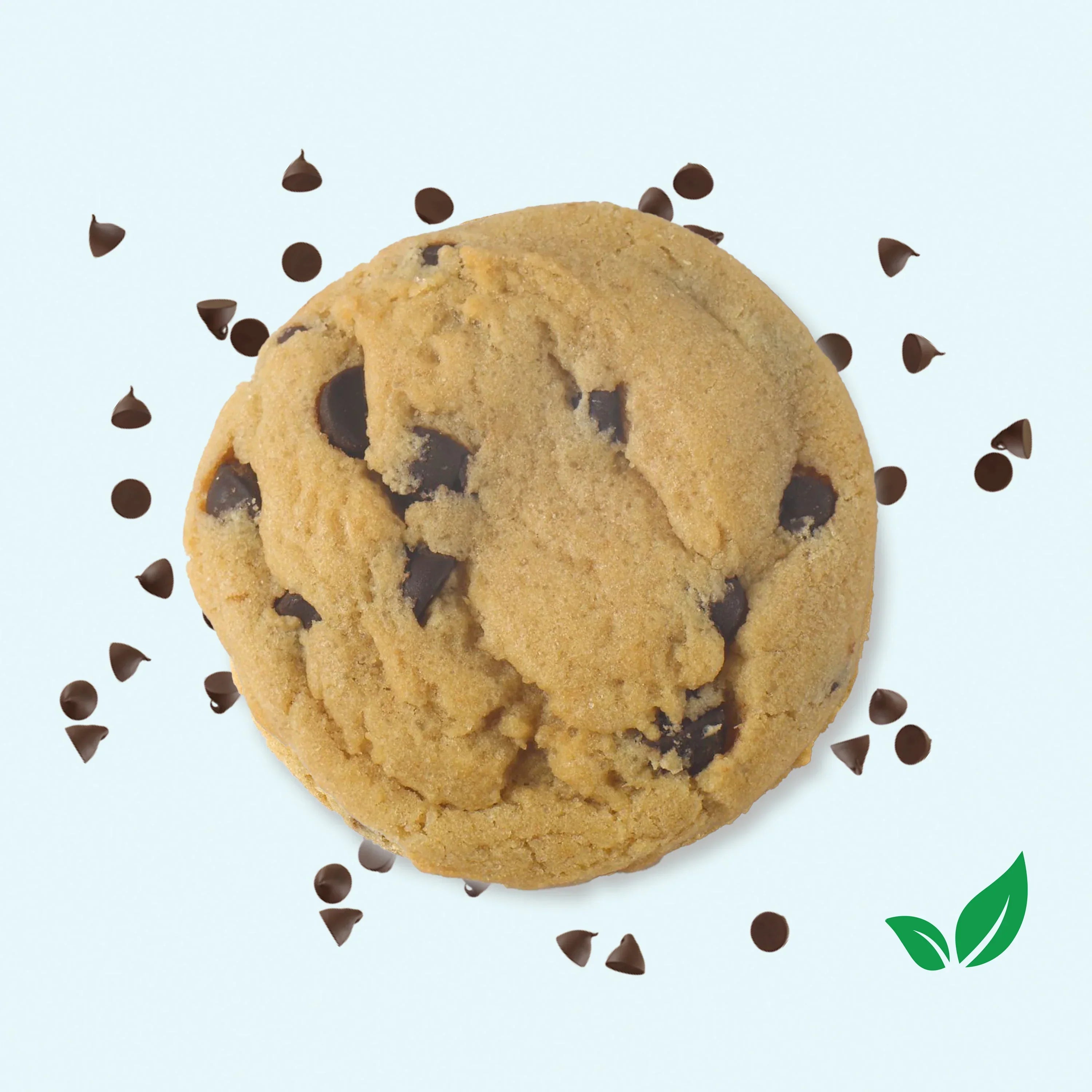 Vegan My Kids’ Favorite Chocolate Chip Cookies
